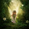 Chapter 1: Fairy world